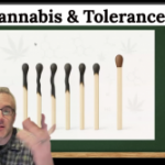 cannabis tolerance explained